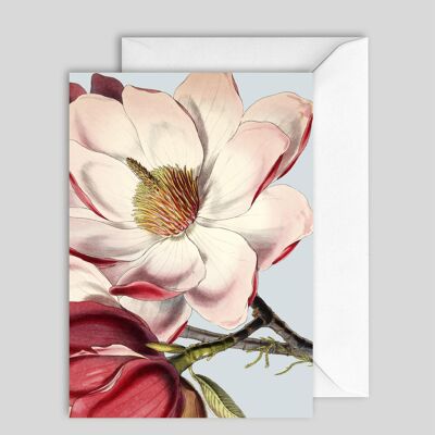 Greeting Card 7625