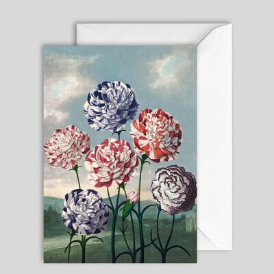 Greeting Card 7639