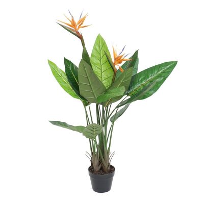 PLANTA PVC 80X80X120 STRELITZIA JA178787