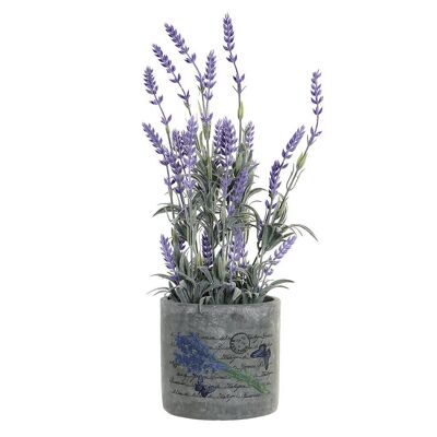 PVC CEMENT POT 13X13X44 GREEN LAVENDER JA182107