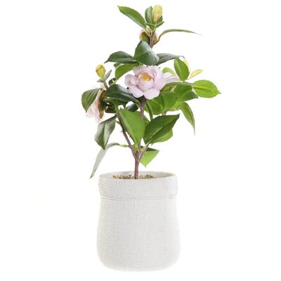 PLANTE PVC EVA 23X18X38 PALO ROSE ROSE JA187737