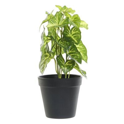 PLANT PVC PLASTIC 12X12X27 GREEN JA187739