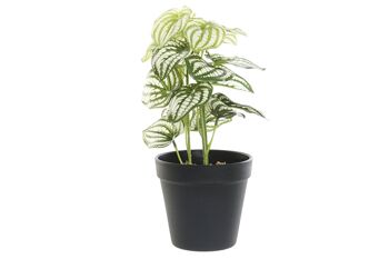 PLANTE PVC PLASTIQUE 13X13X27 VERT JA187740 1