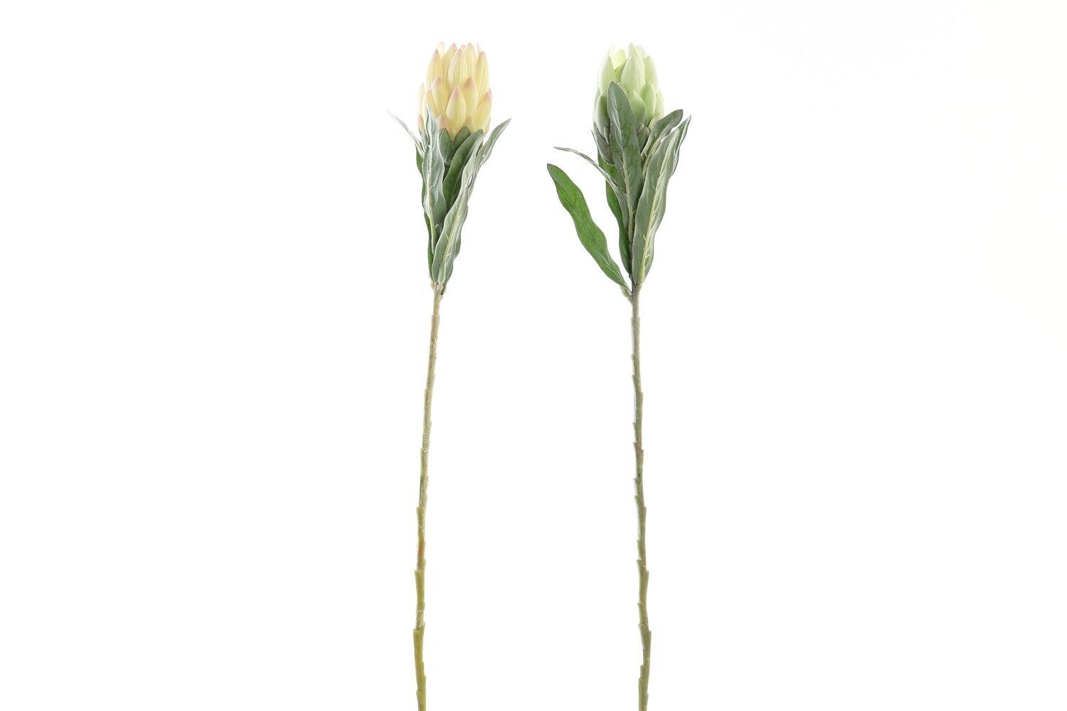 FIORE PE FERRO 15X15X65 CARCIOFO 2 ASSORTITI. JA189221