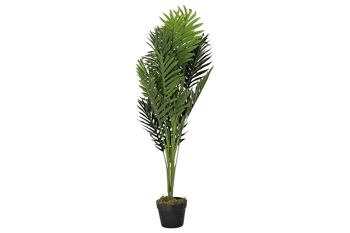 PLANTE PE 40X40X100 PALMIER VERT JA192393 1