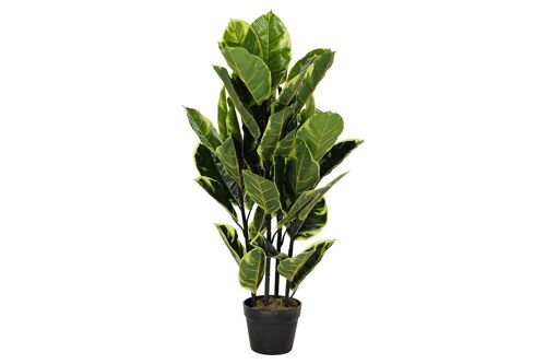 PLANTA PE 40X40X90 HEVEA VERDE JA192396