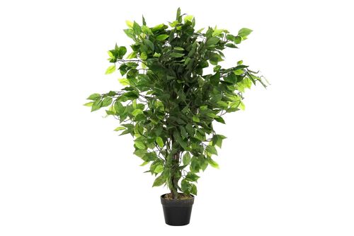 PLANTA PE 50X50X90 FICUS VERDE JA192398