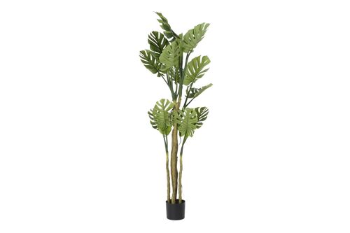 ARBOL POLIESTER PP 75X75X180 MONSTERA VERDE JA192595