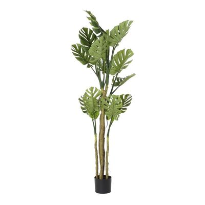 ALBERO POLIESTERE PP 75X75X180 VERDE MONSTERA JA192595