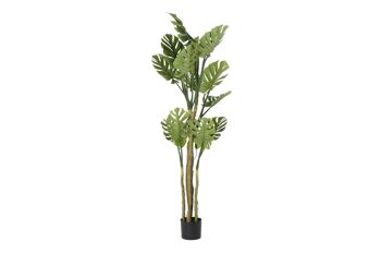 ARBRE POLYESTER PP 75X75X180 VERT MONSTERA JA192595 1