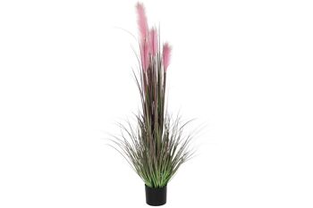 PLANTE PVC ACIER 30X30X150 ROSE DUSTERS JA192656 1