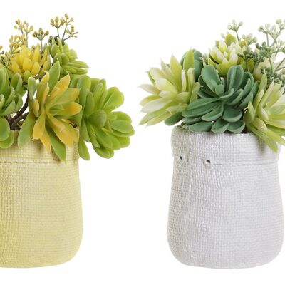 PLANTA PE EVA 15X15X19 LOTUS 2 SURT. JA193577