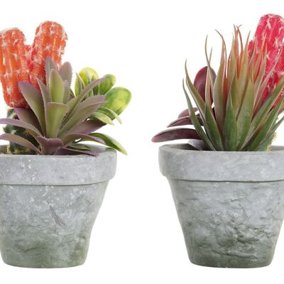 PLANTA PE EVA 16X12,5X19,5 2 SURT. JA193579