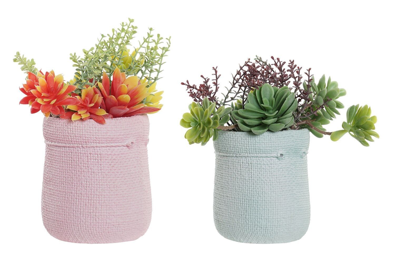 PIANTA PE EVA 18X10X18 2 SURT. JA193587