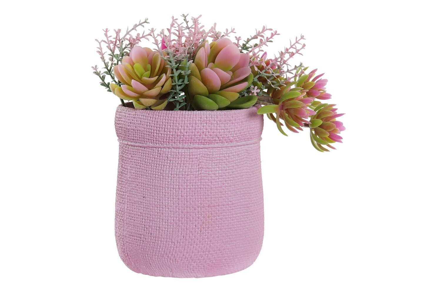 PIANTA PE EVA 17.5X14X20 2 SURT. JA193590