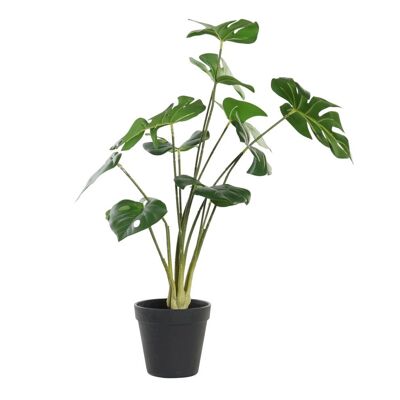 PE PLANTE 30X30X51 VERT JA193852