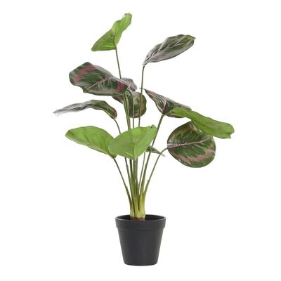 PLANTE PE 30X30X58 VERT JA193854