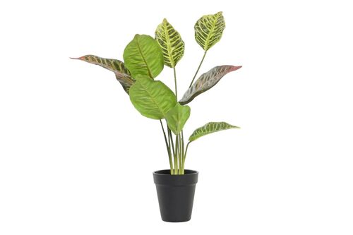 PLANTA PE 20X20X49 VERDE JA193862