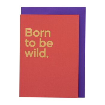 Born to be wild&#39; Carte de chansons en streaming 1