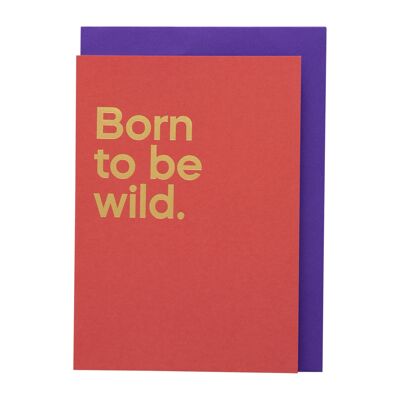 Born to be wild&#39; Streambare Songkarte