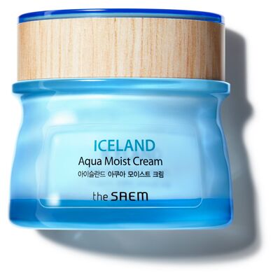 Iceland Aqua Moist Cream_Crema_60ml