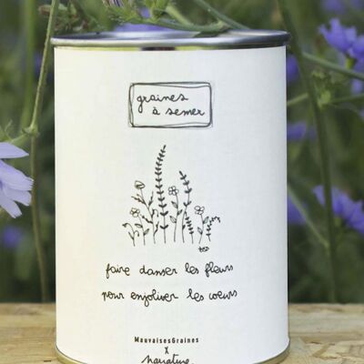 Aussaatset "Lass die Blumen tanzen" Made in France