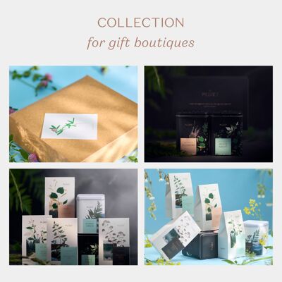 Herbal tea collection for GIFT BOUTIQUE
