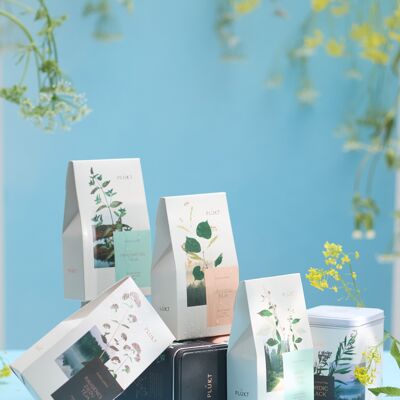 Set de regalo de té de hierbas EXPLORAR | regalos de empresa | té especial | producto organico certificado