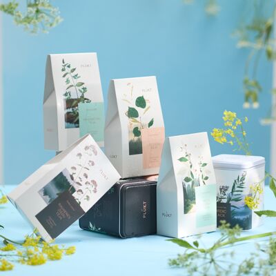 Set de regalo de té de hierbas EXPLORAR | regalos de empresa | té especial | producto organico certificado