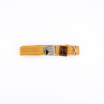Velvet Honey - Halsband - S - Argent - 2 cm 3