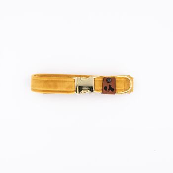Velvet Honey - Halsband - M - Doré - 2 cm 2