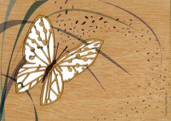 Papillon - carte de voeux en bois avec motif pop-up 2