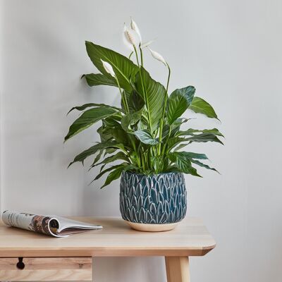 Arles Teal Leaf Embossed Planter