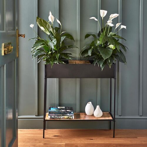 Kensington Black Rectangle Planter Stand