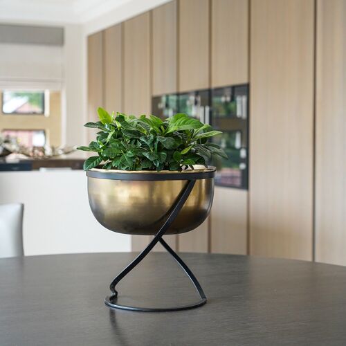 Kensington Round Planter with Stand