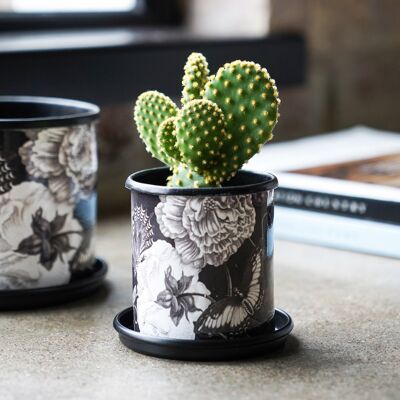 Kew Eclectic Orangery Noir Planter With Saucer