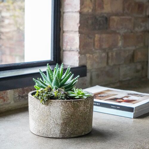 Kew Handthrown Aged Bark Bowl