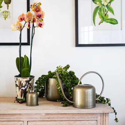 Kew Matt Brass Watering Can