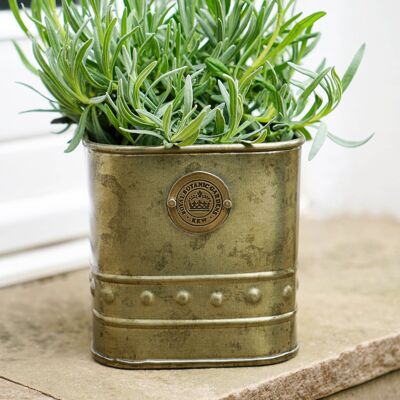 Kew Regency Aged Brass Outdoor Planter