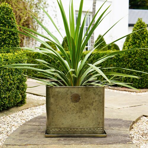 Kew Regency Aged Brass Outdoor Planter With Tray
