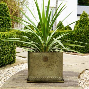 Jardinière d&#39;extérieur en laiton vieilli Kew Regency avec plateau 1