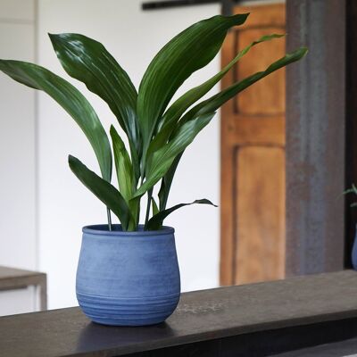 Kew Azurite Temperate House Handthrown Planter