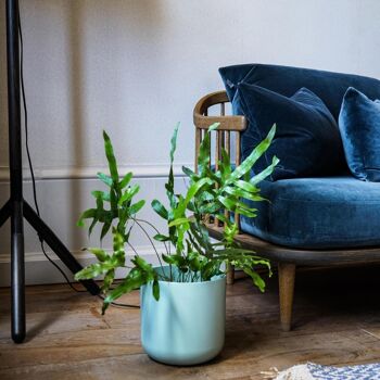 Jardinière en glaçure de qualité supérieure à la menthe de Lisbonne 1