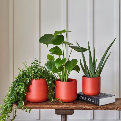 Lisbon Coral Premium Glaze Planter