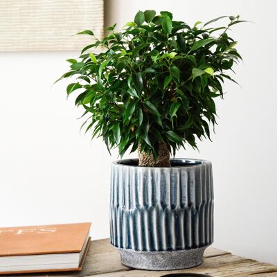 Onno Premium Glaze Planter