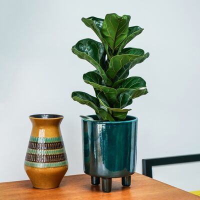 Pisa Emerald Premium Glaze Planter