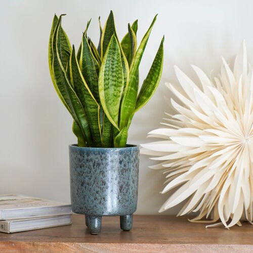 Pisa Glacier Blue Reactive Glaze Planter