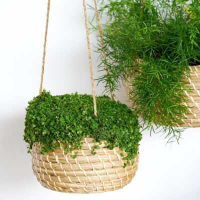 Set of 2 Sustainable Hanging Seagrass Planters