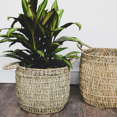 Set of 2 Sustainable Seagrass Lined Baskets