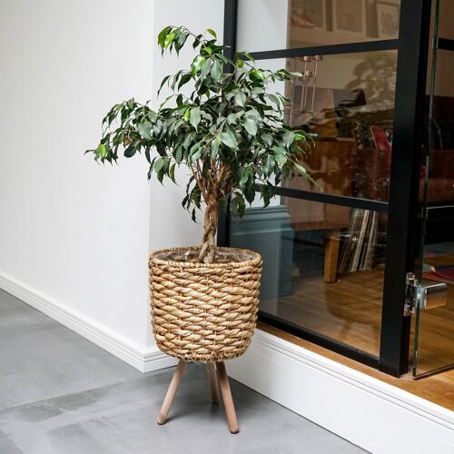 Water Hyacinth Sustainable Lined Basket on Wooden Legs